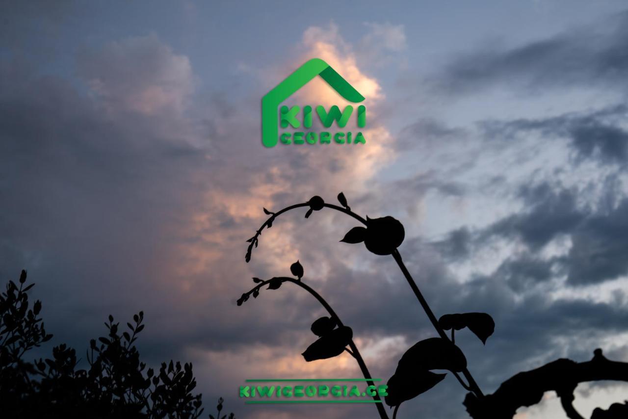 Villa Kiwi Georgia Kobuleti Exterior foto