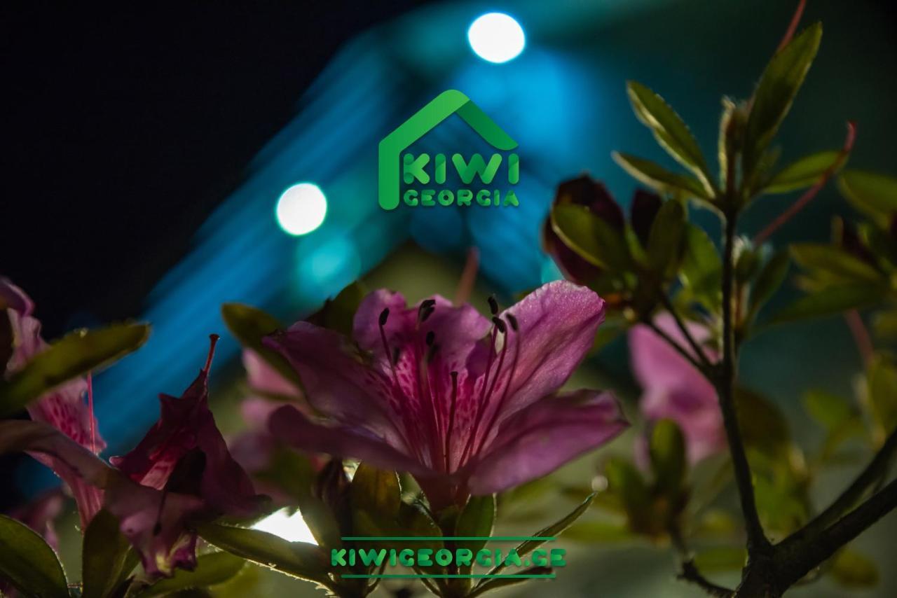 Villa Kiwi Georgia Kobuleti Exterior foto