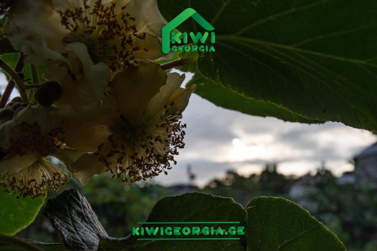 Villa Kiwi Georgia Kobuleti Exterior foto